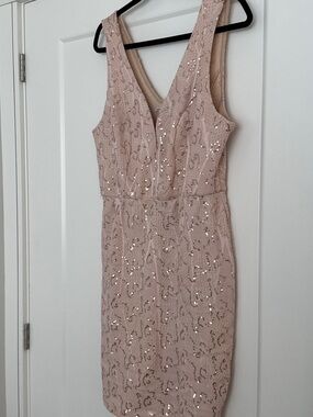 Charlotte Russe Blush Sequin V-Neck Mini Dress